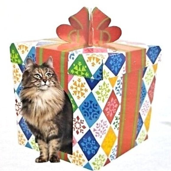 wondershop Other - Cat Scratcher Present House 19.875"X15.25"X15.25" Holiday Birthday